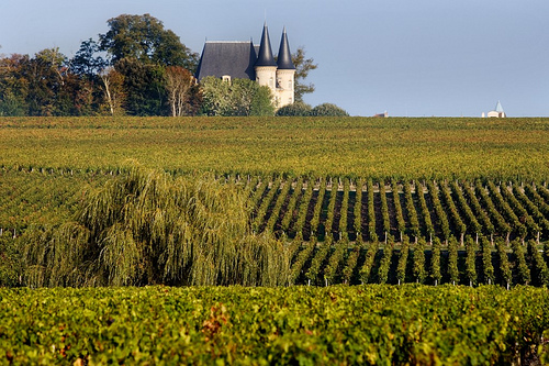 Conditions génrales de vente